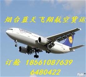 烟台蓝天飞翔航空货运服务公司Logo