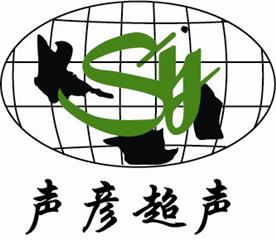 上海声彦超声波仪器有限公司Logo