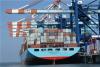 海运国际货运 到新加坡海运进出口 锦茗货代
