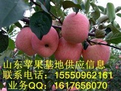 富硒王富硒果品富硒富士
