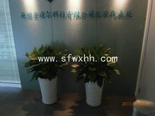 北京办公室绿色植物租赁公司