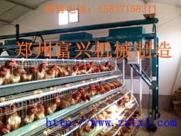 供应专业富兴定制全自动养殖全自动喂料机