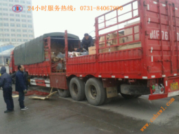 承接廣東全境專線貨物運輸