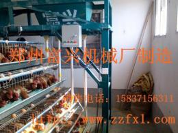 养鸡专业全自动喂料机