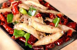 大學生創(chuàng)新創(chuàng)業(yè)項目