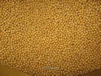 脱毒黄豆种子厂家价格黄豆种子播种日期种子
