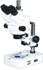 体式显微镜