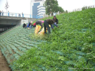 植生袋 绿化护坡植生袋