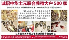 中华土元 常州超力地鳖虫养殖专业合作社