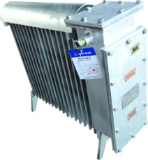 RB2000/127 A 矿用隔爆型电热取暖器煤安