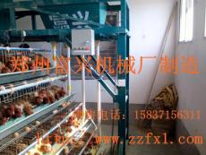 供应专业养鸡养鸭阶梯式笼养配套喂料机