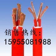 JGG硅橡胶电缆电缆