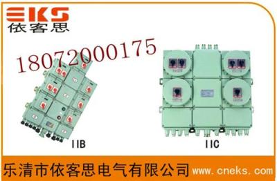 BDG58 防爆动力配电箱 乐清防爆箱生产厂家