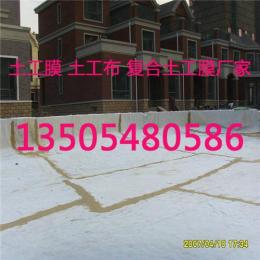 山东省最大的膨润土防水毯生产厂家厂价直销