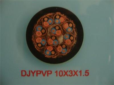 阎良区DJYP2VP计算机电缆供应