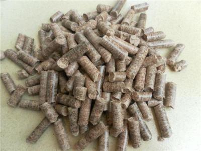 生物颗粒燃烧机 广东生物颗粒燃烧机 颗粒