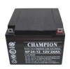 CHAMPION电池NP24-12 冠军UPS/EPS电池 直销