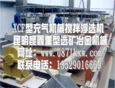 云南XCF型充气式浮选机