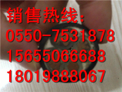 柳州ZRC-DJVDVDRP2-450/750電纜22 2 1.5