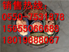安庆DJYVP2-32-450/750电缆13 2 2.5