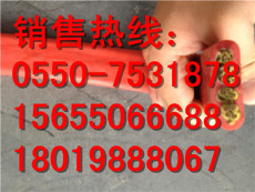 繁昌县DJFGP2-32-450/750电缆