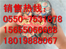 蚌埠市DJYP3V32-450/750電纜