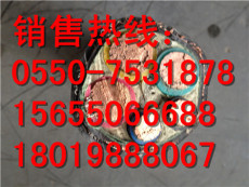栖霞区ZR-DJGP2GP2R-450/750电缆20 2 1.5