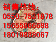 长宁区ZR-DJFP3F-450/750电缆12 2 2.5