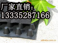 供应天津排水板 天津塑料排水板厂家销售