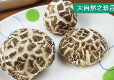 楚香源土特产 供应肉嫩味香花菇
