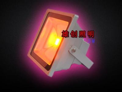 LED投光燈 LED集成投光燈生產(chǎn)廠家