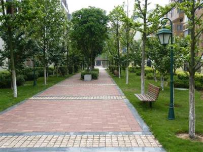 深圳园林绿化城市规划