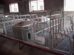 母豬分娩床廠家 財鑫畜牧設備