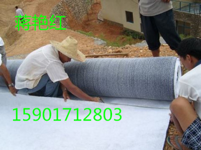 膨润土防水毯上海有备案