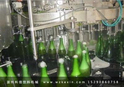 饮料灌装机设备 液体灌装机生产厂家