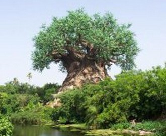 大連園林景觀之水體管理