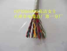 大对数电缆HYA HYA22HPVV