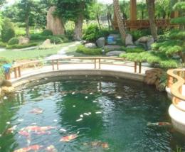 东莞水池工程 水景 水塘 流水墙