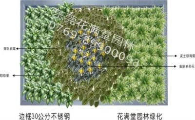 惠州建筑物绿化 园林建设 室内外植物墙效