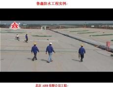 魯錱專業(yè)生產(chǎn)PVC/TPO卷材