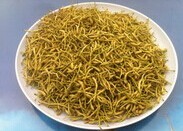鄭州特產金銀花茶-新密金銀花-金銀花茶價格