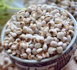 五谷雜糧薏米-夏季食用佳品薏米-薏米功效