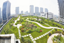 望牛墩屋顶花园 绿化景观设计