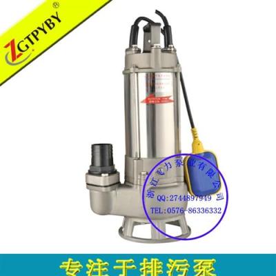 不锈钢潜水泵 带浮球开关 220V