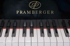 普拉姆伯格钢琴出售