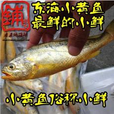 速鲜阁海鲜鲜活皮皮虾自家渔船捕捞自产自销