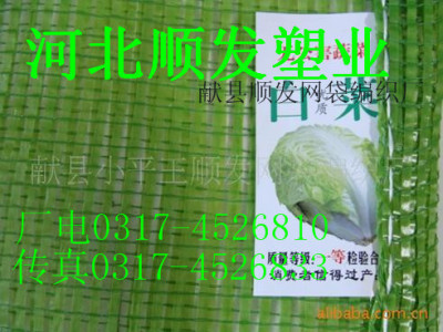 大白菜专用油绿色70*90网袋