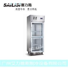 賽力斯500L兩門暗管展示冷柜