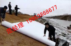 上海土工布是怎么卖的